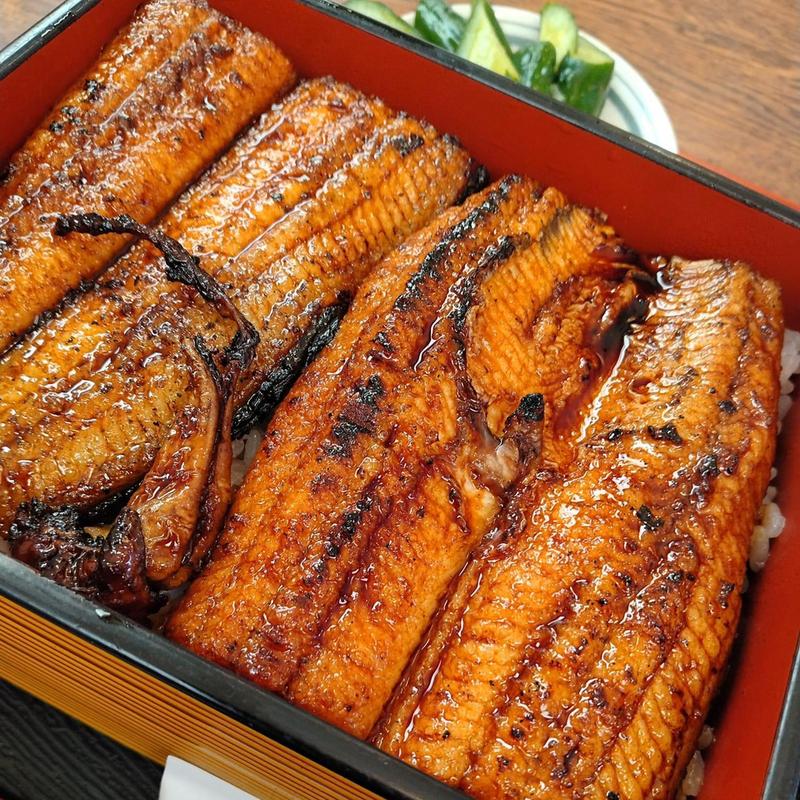 うな重 並(うなぎの山忠)