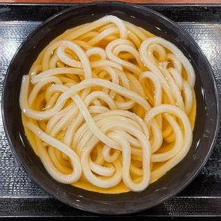 冷やかけうどん（大）