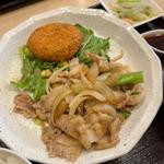 日替わり　豚肉と野菜の生姜焼きとメンチカツ