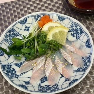 穴子の刺身（おまかせコース）