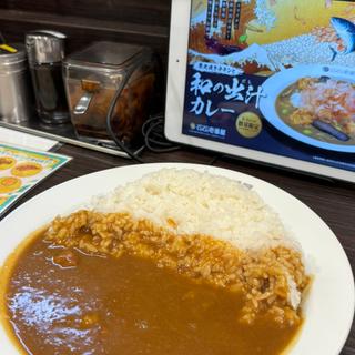 ポークカレー