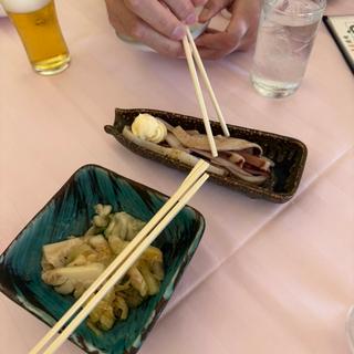 イカの一夜干し　ハルピンキャベツ