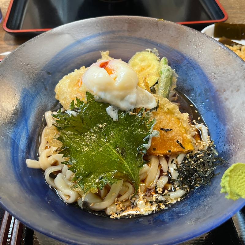 野菜天ぶっかけうどん(麺や ほり野)