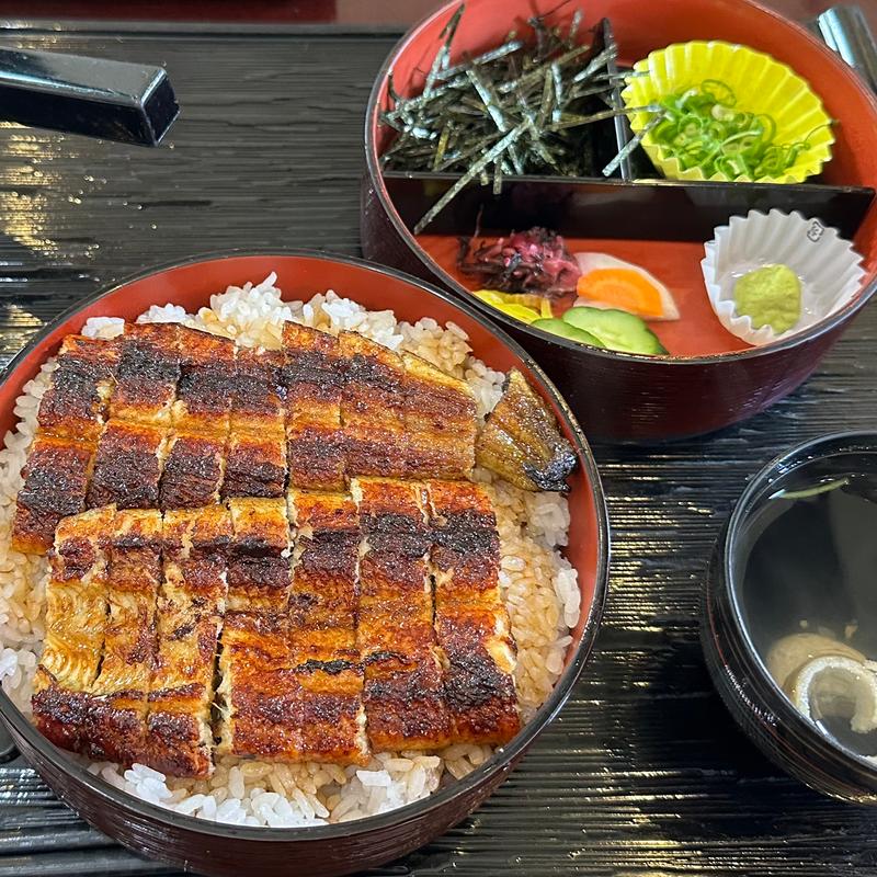 うなぎまぶし1本(うなぎ処京丸)