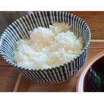 ごはん