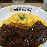 ハヤシオムライス