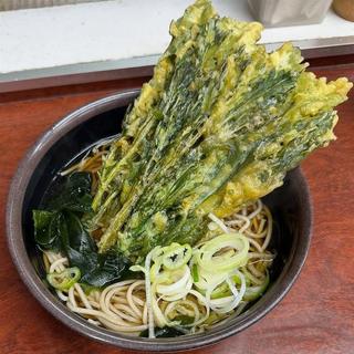 春菊天そば