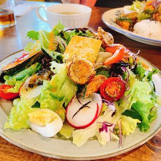 サラダランチ(plus good day)