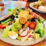 サラダランチ(plus good day)