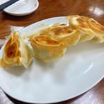 羽根付き焼き餃子