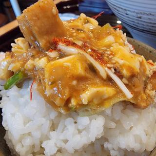 チーズカレー麻婆豆腐定食(罪無き麻婆豆腐 TSUMINAKI Mapo Tofu)