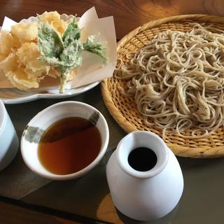 天ざる