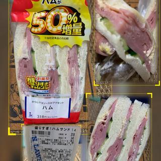 盛りすぎ！ハムサンド