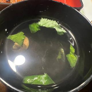 肝吸い