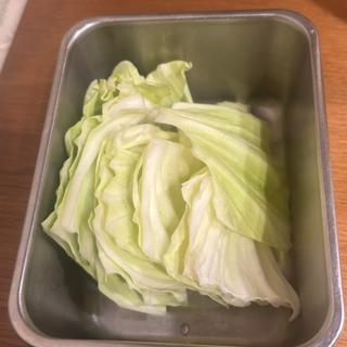 キャベツ
