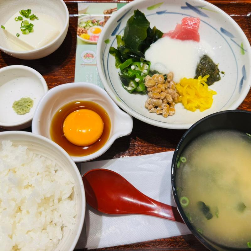 アカモクねばとろ定食(やよい軒 新宿御苑店)