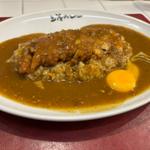 ささみカツカレー(上等カレー 飯田橋店)