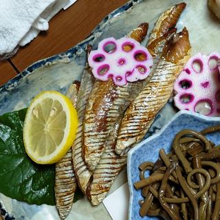 はらんぼ塩焼き