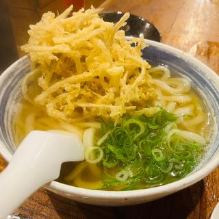 ごぼ天うどん
