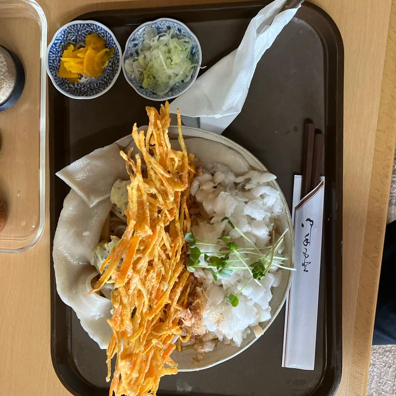 ぶっかけうどん中盛り(手打ち・つけ汁 うどん処 てる井 )