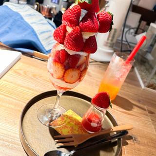 壱伍のイチゴパフェ