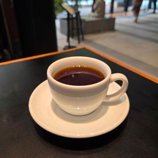 本日のコーヒー