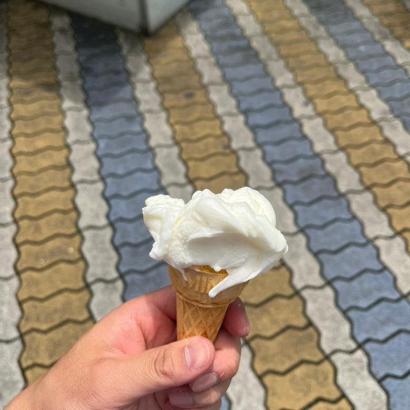 トルコアイスバニラ(turkish ice)