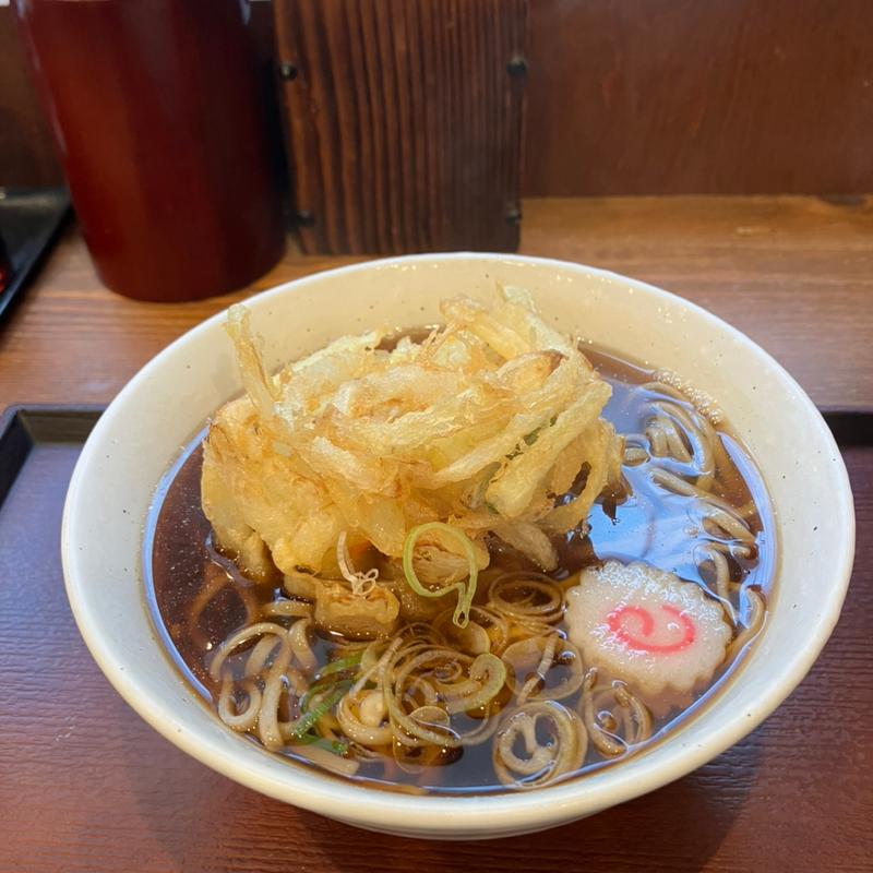 天ぷらそば(蕎麦　冷麦　嵯峨谷 （さがたに）)