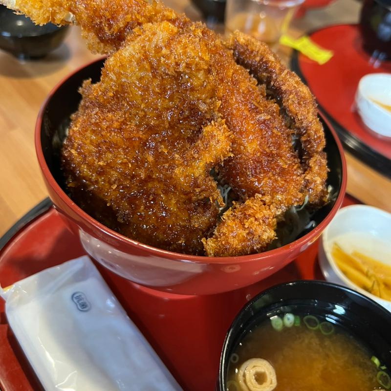 ミックスA(エビ1尾、ロースカツ2枚)ヒレ1枚トッピング(そーすどん)