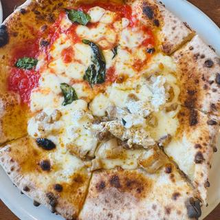 チコリ(ソロ ピッツァ ジンガラ （SOLO PIZZA ZINGARA）)