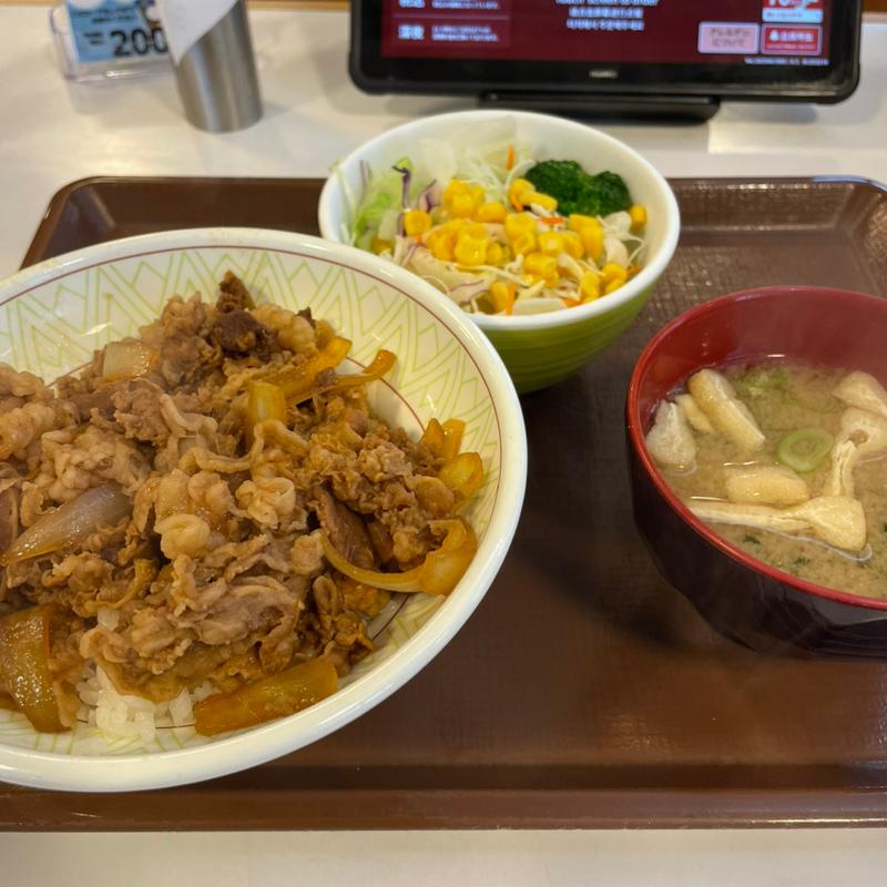 牛丼中盛り　サラダセット(すき家 196号西条三津屋店 )