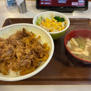 牛丼中盛り　サラダセット
