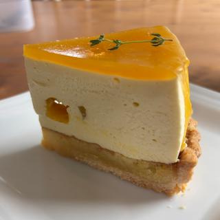 マンゴーチーズタルト(N'ma cafe)