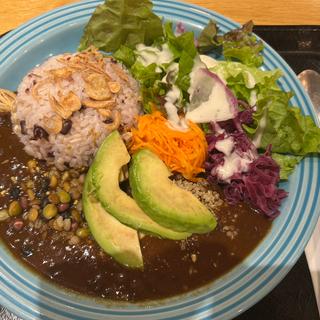 ソイミートカレー(カフェノリータ アトレ川崎店)