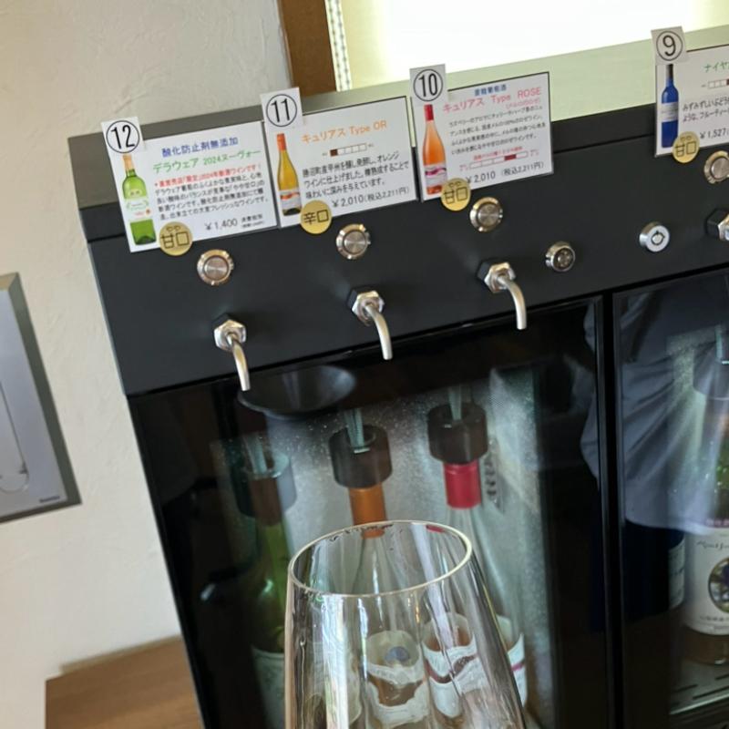 試飲(蒼龍葡萄酒株式会社)