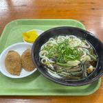 山菜うどん