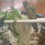 山菜うどん