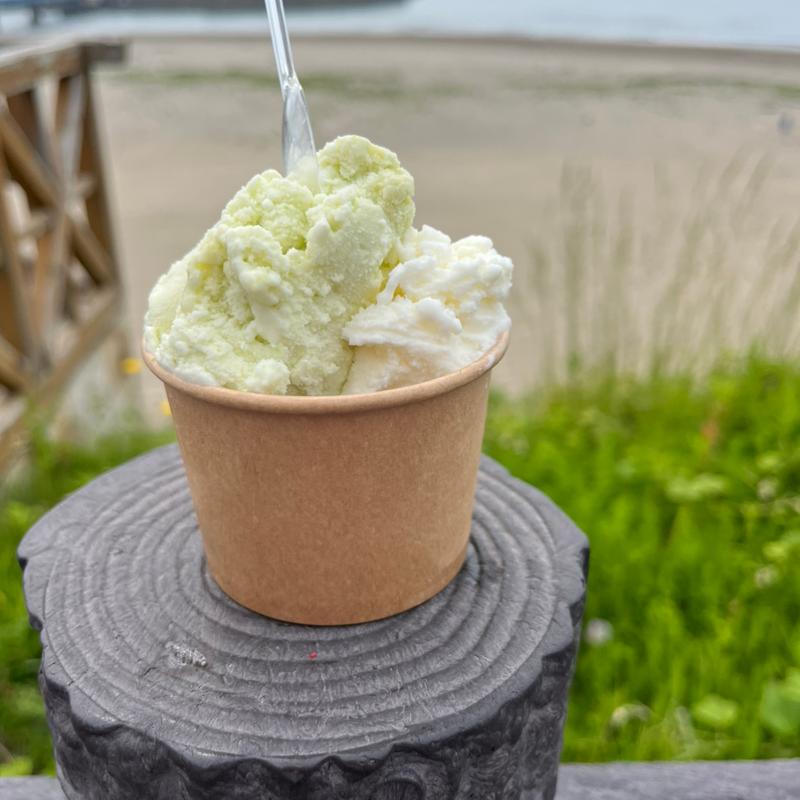 UMIYOKO GELATO 2種盛り(ウミヨコスタンド)