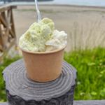 UMIYOKO GELATO 2種盛り