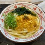 かけうどん乗車