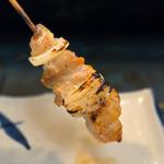 ネオポンポン(ぼんじり雌)