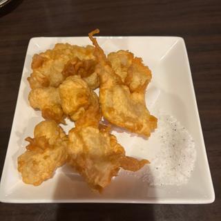てんぷら(南風どなん)