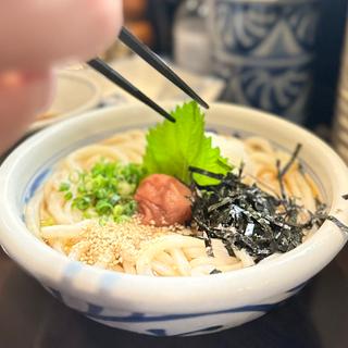 (手打うどん すみた)