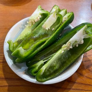 ピーマン(ホルモン焼 はせ川)
