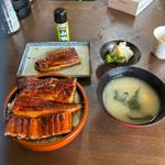 うな丼2.0人前