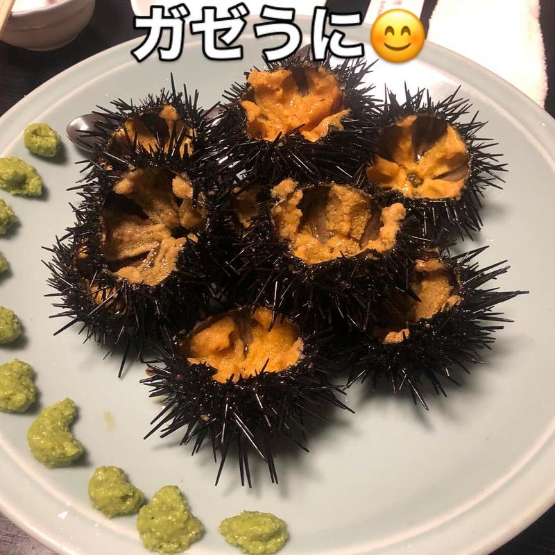 うに(はたはた )