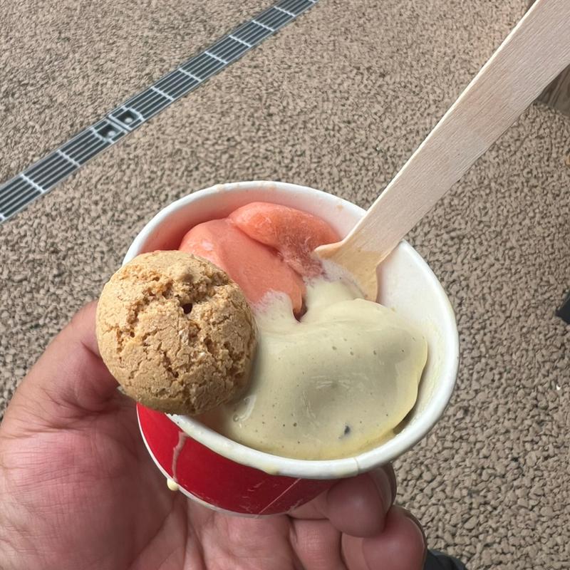 ブラッドオレンジ&トマト+ピスタチオシチリアシャーベット アマレッティビスコッティ付き(イタリア・バチカンパビリオン)