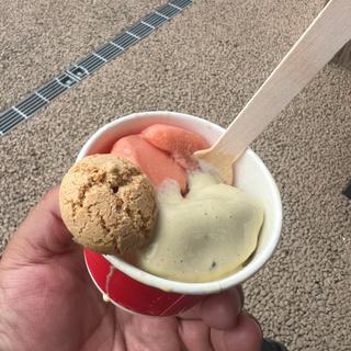 ブラッドオレンジ＆トマト＋ピスタチオシチリアシャーベット アマレッティビスコッティ付き(イタリア・バチカンパビリオン)