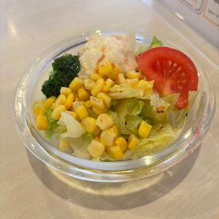彩りサラダ(ジョイフル桶川店)
