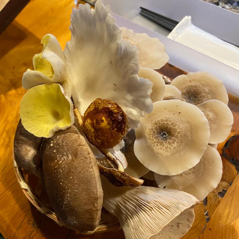 きのこコース(食・夢工房 きのこの舘)